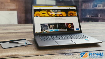 東莞寮步營銷型網(wǎng)站建設(shè)與專業(yè)軟件開發(fā)服務(wù)商選擇指南